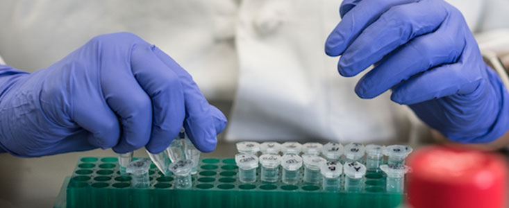 Close up of hands wearing purple plastic gloves interacting with microcentrifuge tubes