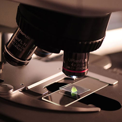 Research Centers and Institutes